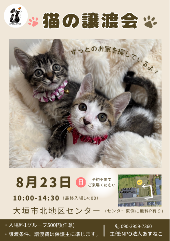 猫の譲渡会を開催します