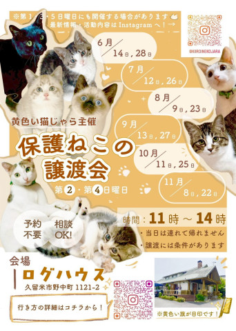 福岡県久留米市★猫の譲渡会