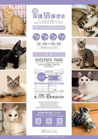 8/16(日)第91回　Cat First 譲渡会開催のお知らせ
