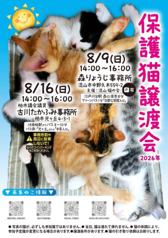 保護猫譲渡会