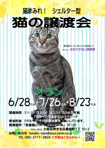 　オープンシエルター型　譲渡会