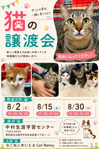 ★夜開催★【名古屋市】中村譲渡会　なごねこめいと