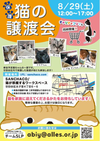 チームＳＬＰ世田谷譲渡会