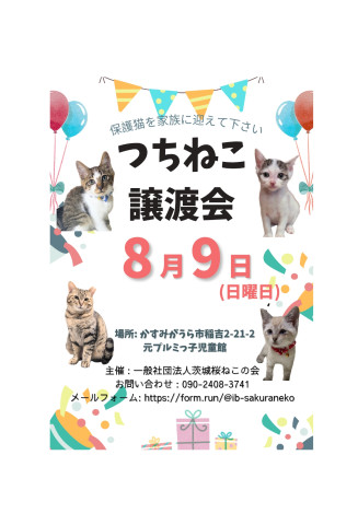 つちねこ譲渡会