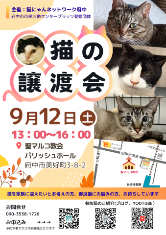 猫にゃんネットワーク府中{保護猫の譲渡会} 