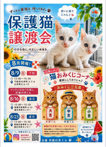 保護猫譲渡会in下松市、周南市