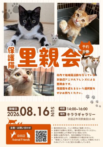 京田辺市：保護猫の里親会（譲渡会）