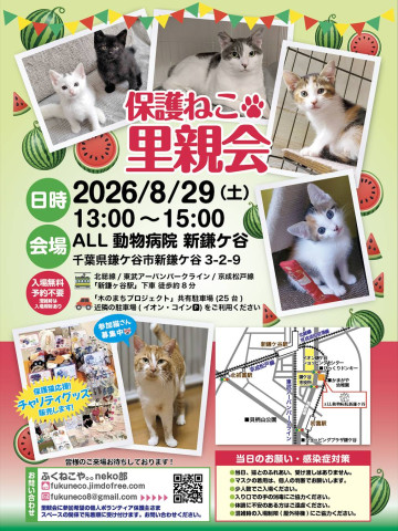 保護ねこ里親会 @ 新鎌ヶ谷