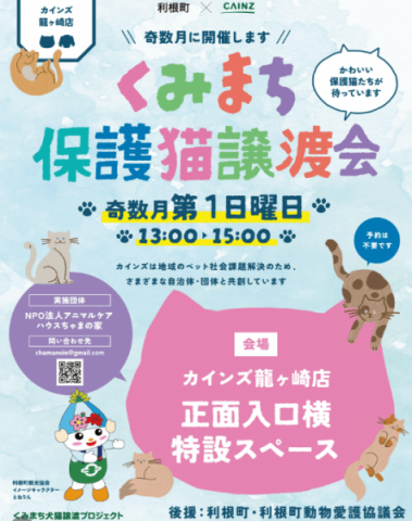 くみまち保護猫譲渡会