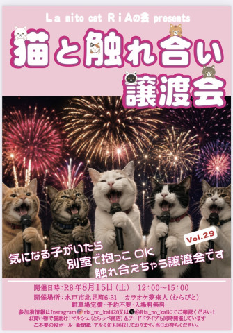 猫と触れ合い譲渡会