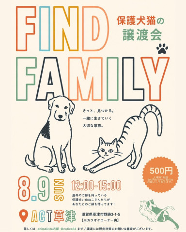 保護いぬねこの譲渡会