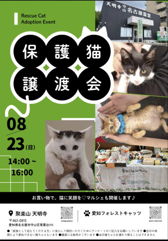 子猫まつり保護猫譲渡会　名古屋市