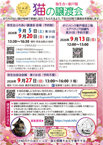 弥生台・東戸塚　猫の譲渡会