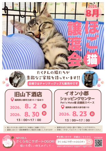 ほご猫と触れ合い譲渡会