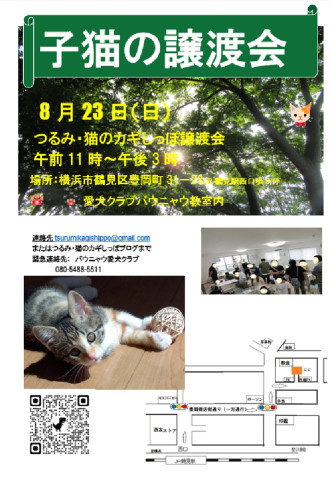 つるみ・猫のカギしっぽ子猫の譲渡会　JR鶴見駅西口歩5分室内開催