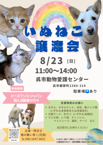 いぬねこ譲渡会