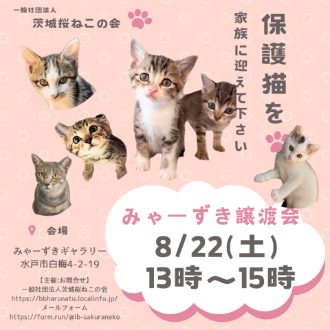 みゃーずき譲渡会