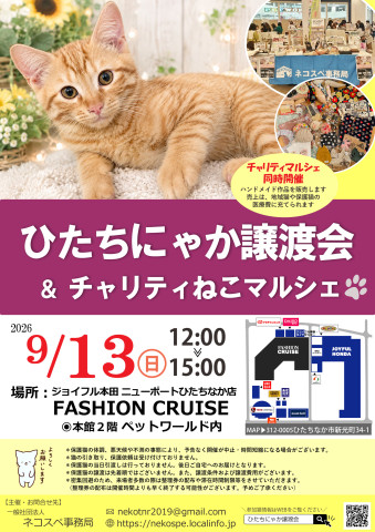 ひたちにゃか譲渡会