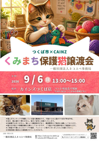 くみまち保護猫譲渡会