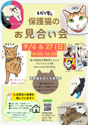まだら家🍀保護猫のお見合い会