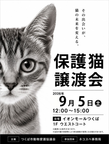 保護猫譲渡会inイオンモールつくば