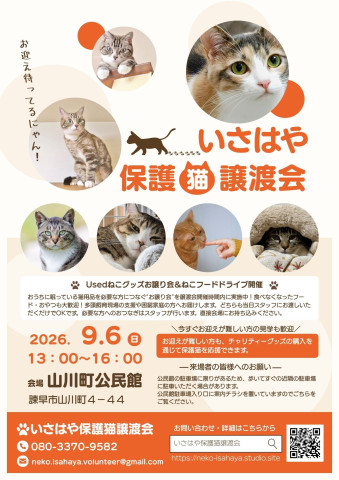個人ボランティアさんによるいさはや保護猫譲渡会