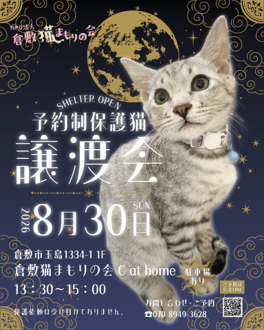 保護猫譲渡会（予約制）