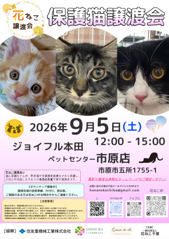 花ねこ譲渡会