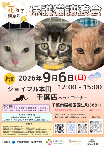 花ねこ譲渡会