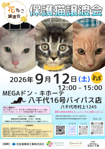 花ねこ譲渡会