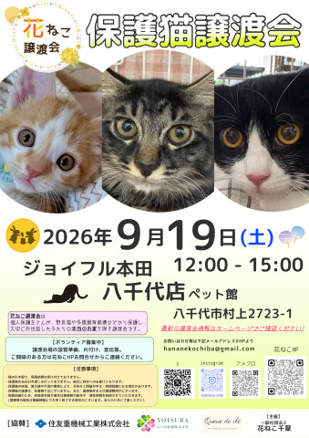 花ねこ譲渡会