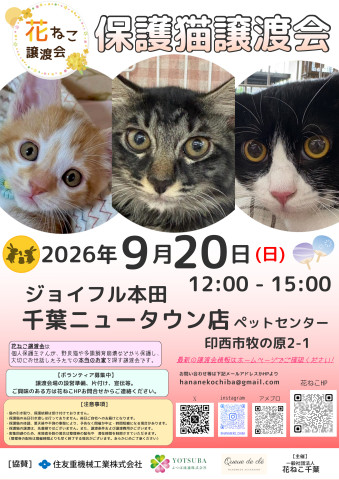 花ねこ譲渡会