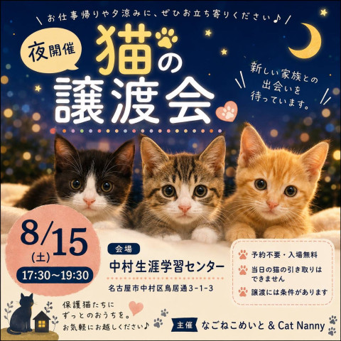 猫の譲渡会　夕方編