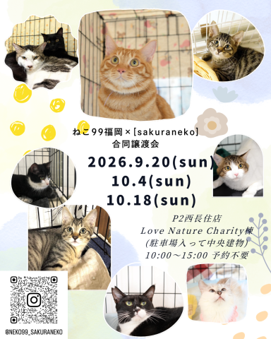 🐾 ねこ99福岡 × [sakuraneko] 合同譲渡会 🐾