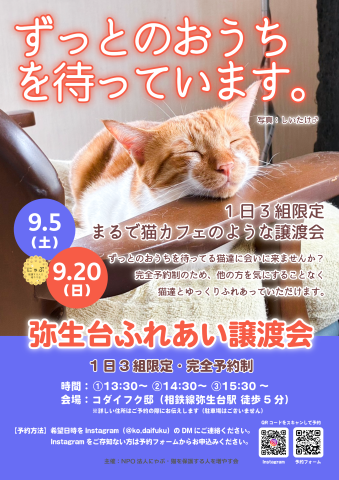 弥生台ふれあい譲渡会（完全予約制）