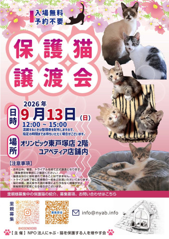 にゃぶ 保護猫譲渡会（オリンピック東戸塚）