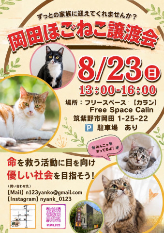 ほご猫譲渡会