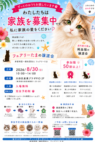 【純血猫50頭以上】フェアリーたまの譲渡会