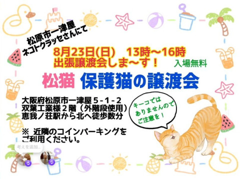 松猫さんの出張譲渡会♪