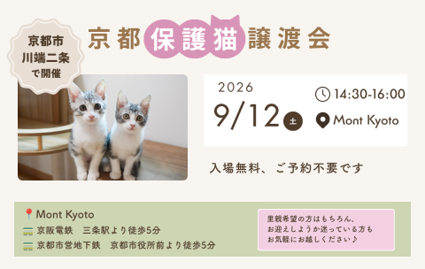 京都保護猫譲渡会
