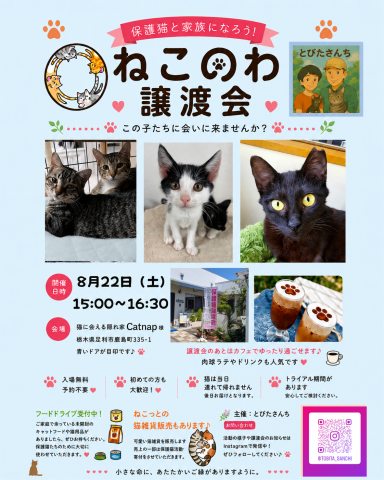 ねこのわ保護猫譲渡会