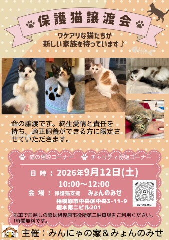 保護猫譲渡会