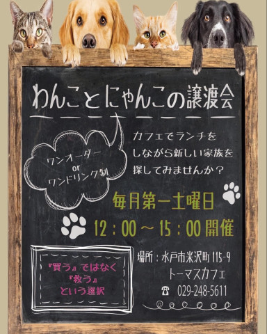 わんことにゃんこの譲渡会