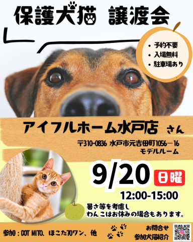 譲渡会 at アイフルホーム水戸店