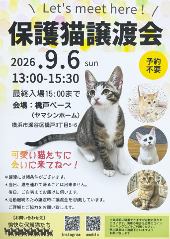 よこはま瀬谷・保護猫譲渡会
