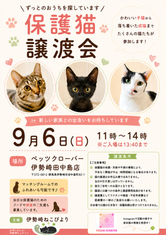 ねこびより保護猫譲渡会