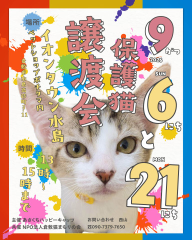 保護猫譲渡会（予約不要）