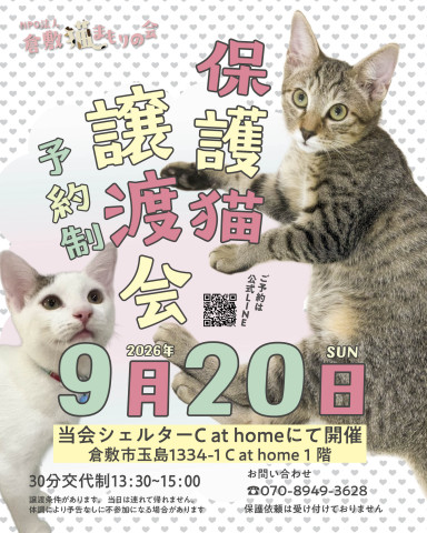 保護猫譲渡会（予約制）