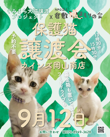 保護猫譲渡会（予約不要）