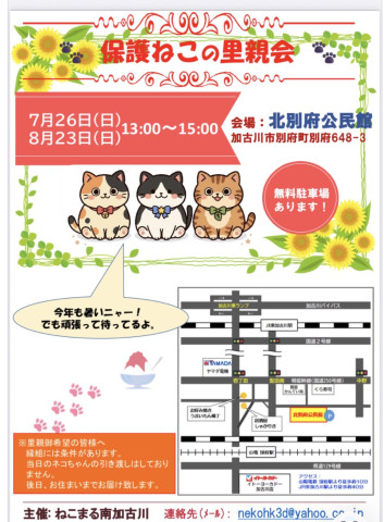 保護ねこの里親会